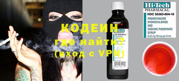 хмурый Кодинск