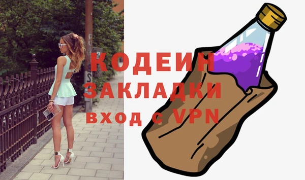 хмурый Кодинск