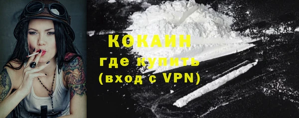 хмурый Кодинск