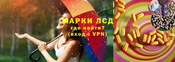 хмурый Кодинск